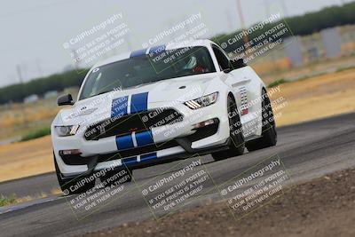 media/Jun-24-2023-Speed SF (Sat) [[1b7e0c161d]]/Gold Group/Session 1 (Sweeper)/